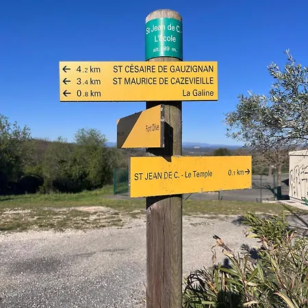 Cade * Saint-Jean-de-Ceyrargues