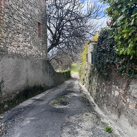 Cade Saint-Jean-de-Ceyrargues
